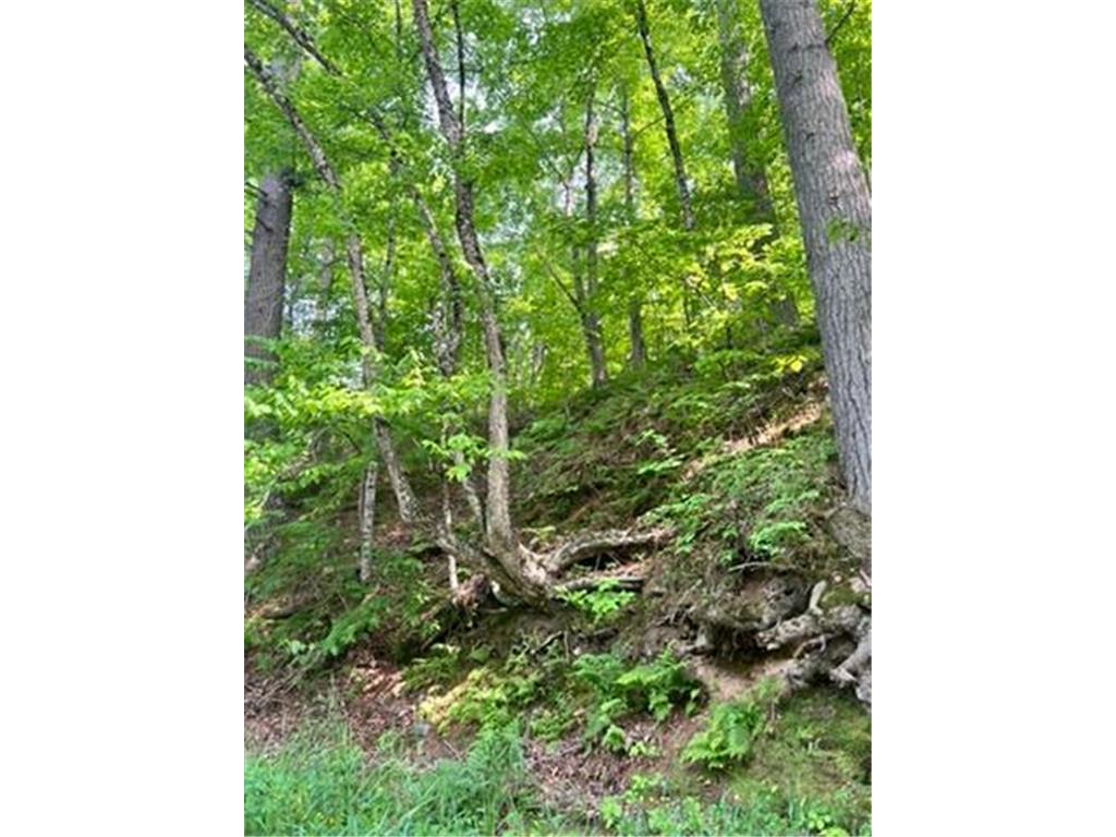 28xxx 89th Avenue Boyd WI 54726 - Yellow River 6733843 image3