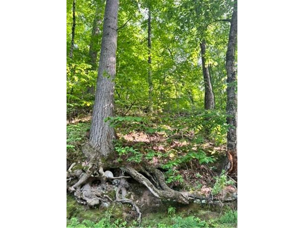 28xxx 89th Avenue Boyd WI 54726 - Yellow River 6733843 image4