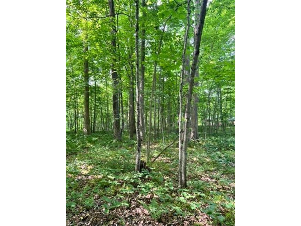 28xxx 89th Avenue Boyd WI 54726 - Yellow River 6733843 image7