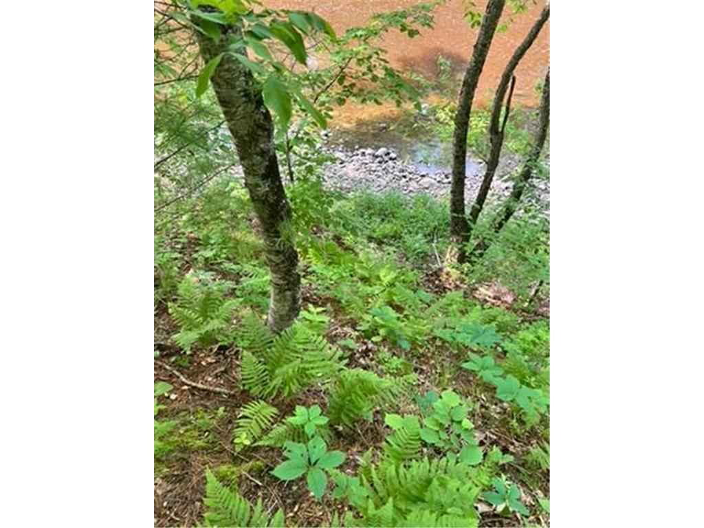 28xxx 89th Avenue Boyd WI 54726 - Yellow River 6733843 image8