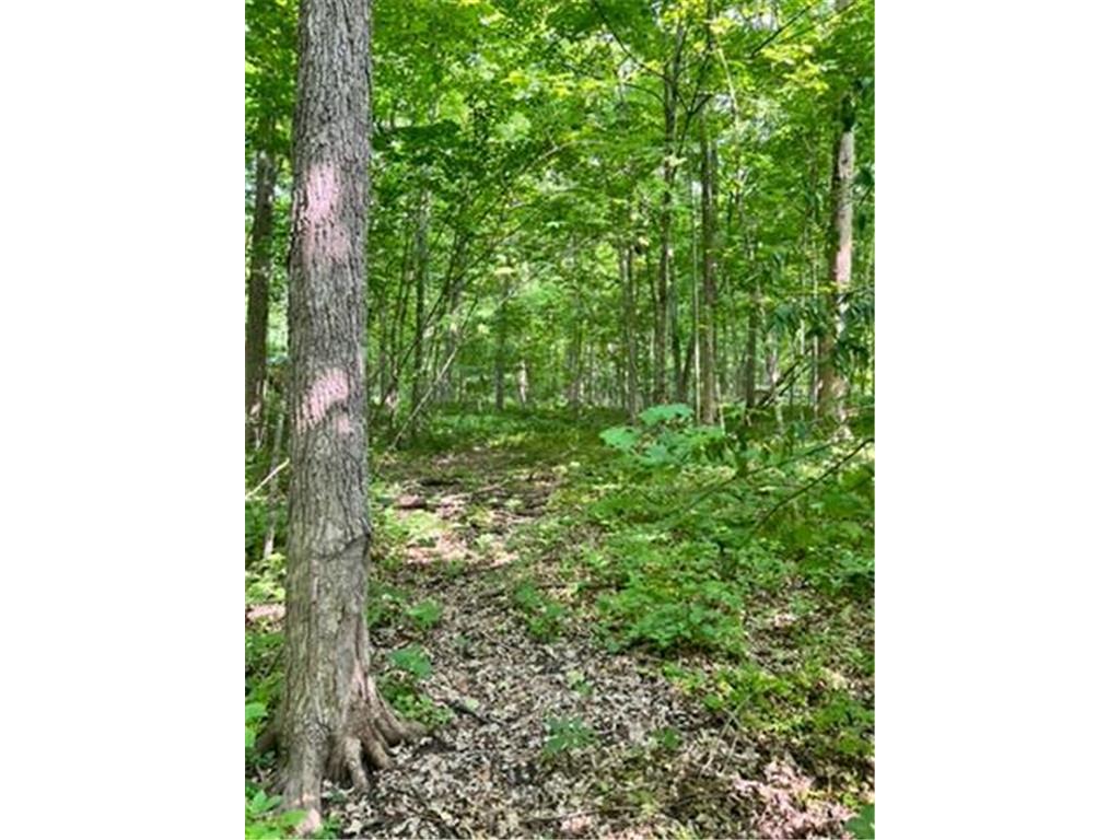 28xxx 89th Avenue Boyd WI 54726 - Yellow River 6733843 image9