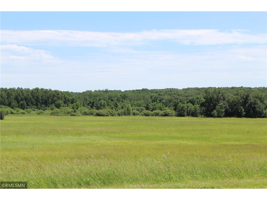 28xxx Cr-2 Saint Joseph MN 56374 6562859 image1