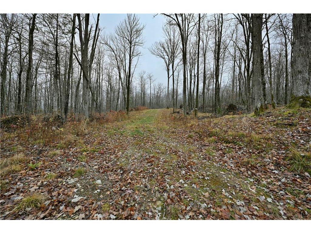 29.19 Acres County Highway C Couderay WI 54835 - Swift Creek 6628937 image1
