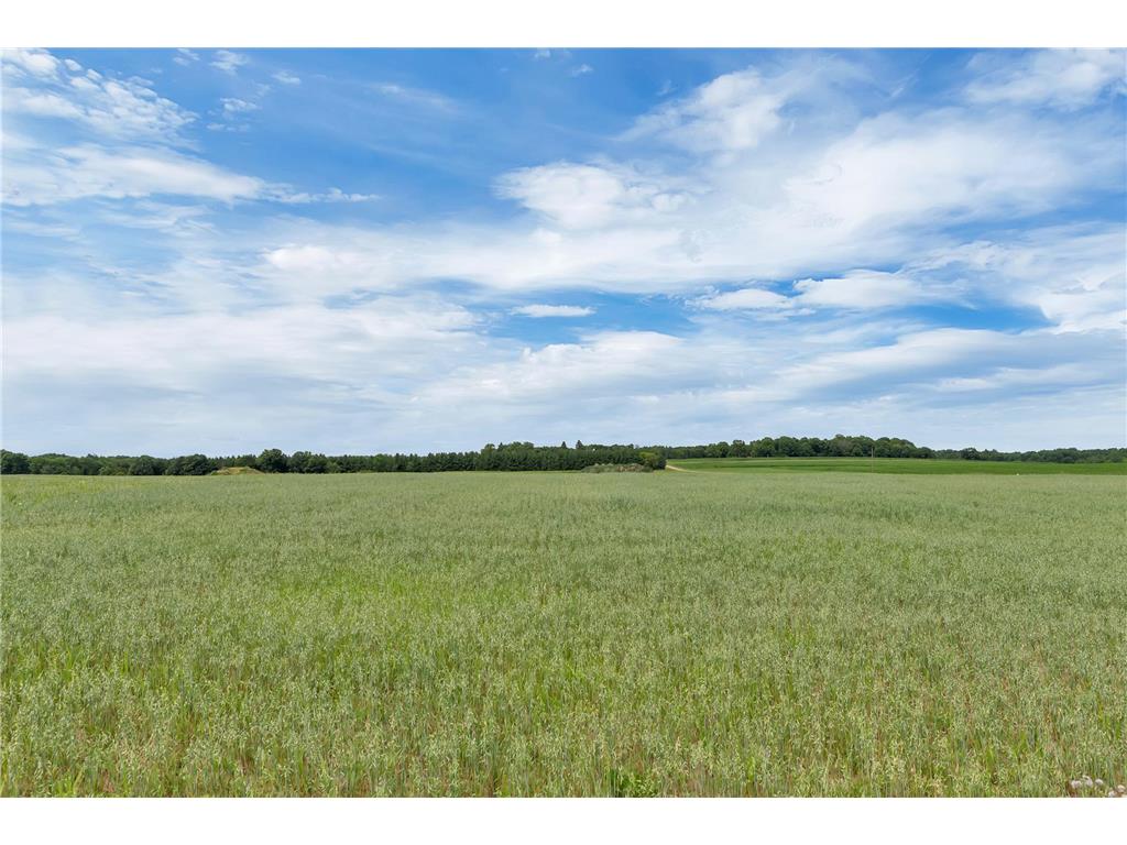 290 East Crest Loop Saint Stephen MN 56375 6774271 image13