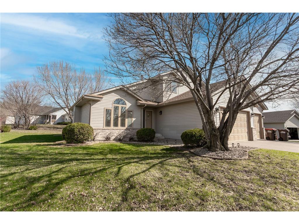 290 Pendryn Hill Overlook Woodbury MN 55125 7055709 image1