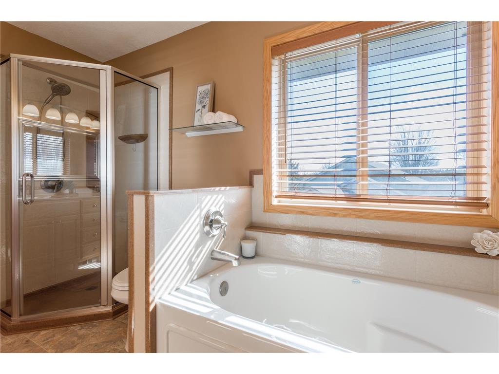 290 Pendryn Hill Overlook Woodbury MN 55125 7055709 image42