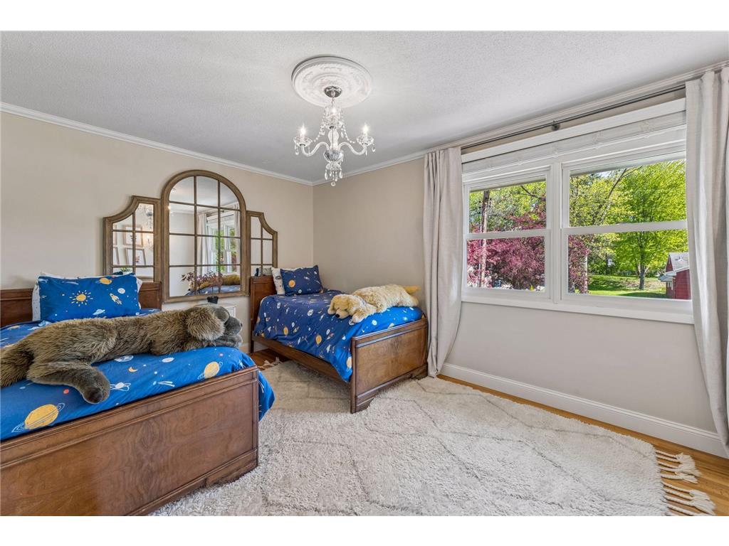 290 Ridgeview Drive E Wayzata MN 55391 7073361 image30