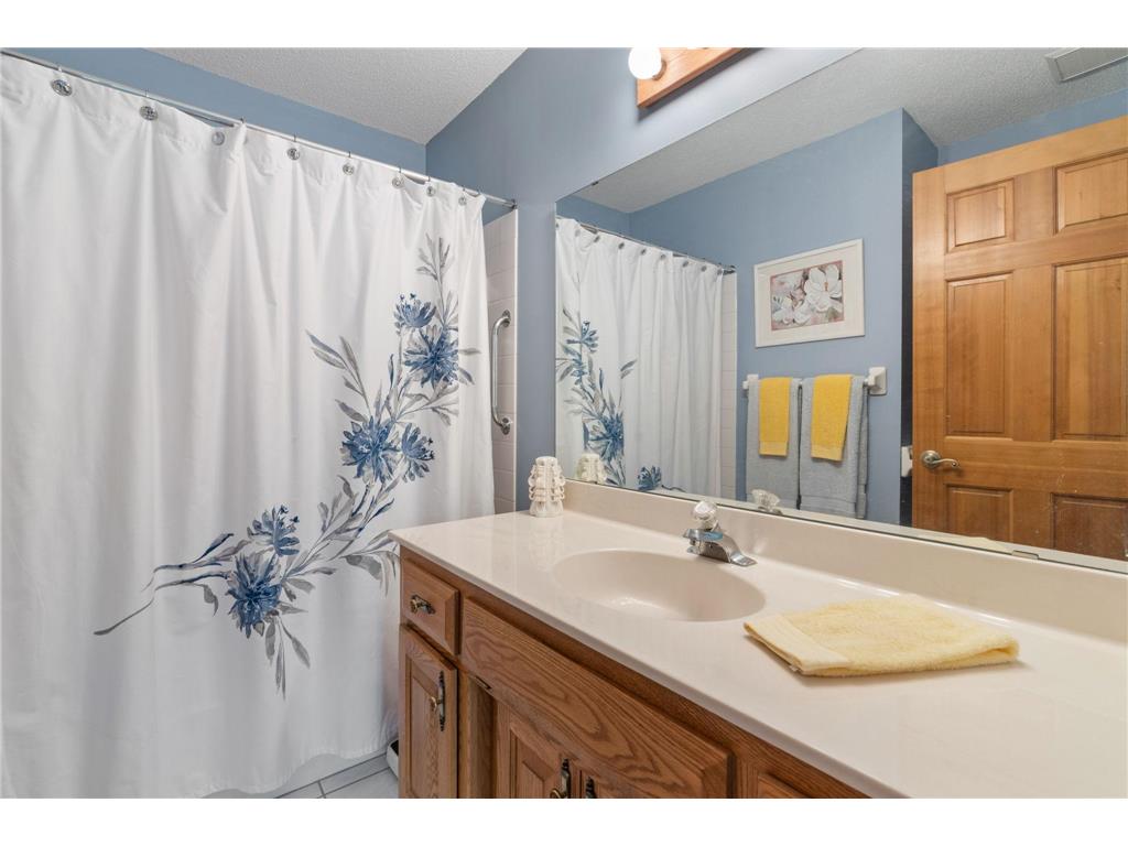 290 Shoreview Estate Big Lake MN 55309 - Big Lake 7071721 image30