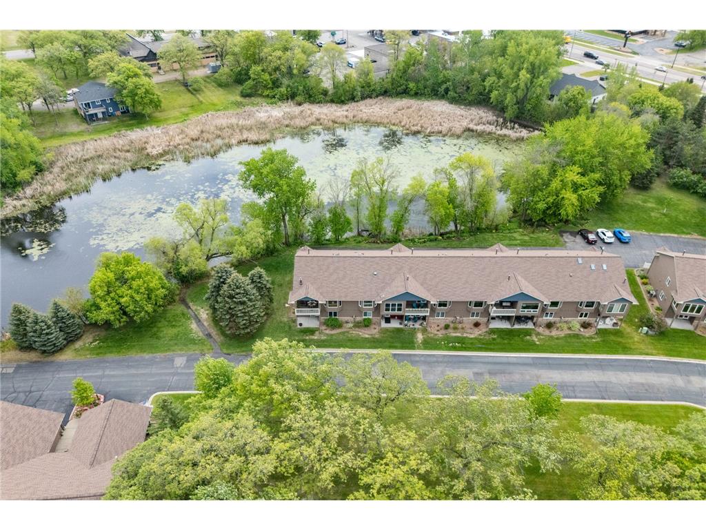 290 Shoreview Estate Big Lake MN 55309 - Big Lake 7071721 image44