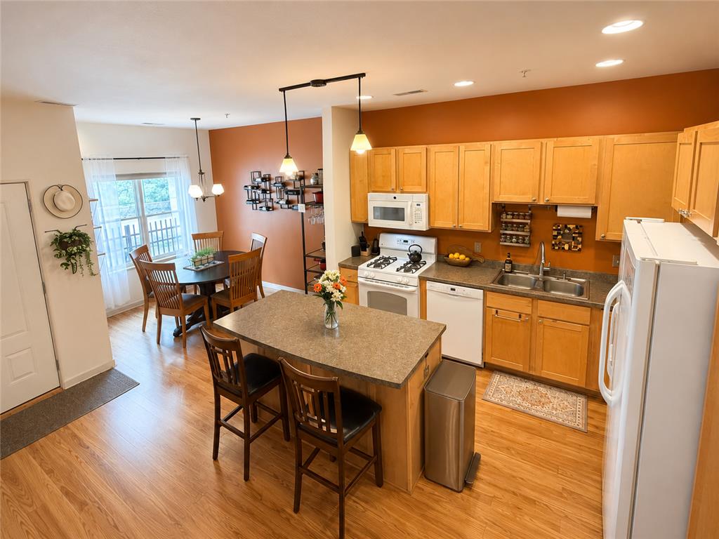 2900 11th Avenue S #1009 Minneapolis MN 55407 7088856 image1
