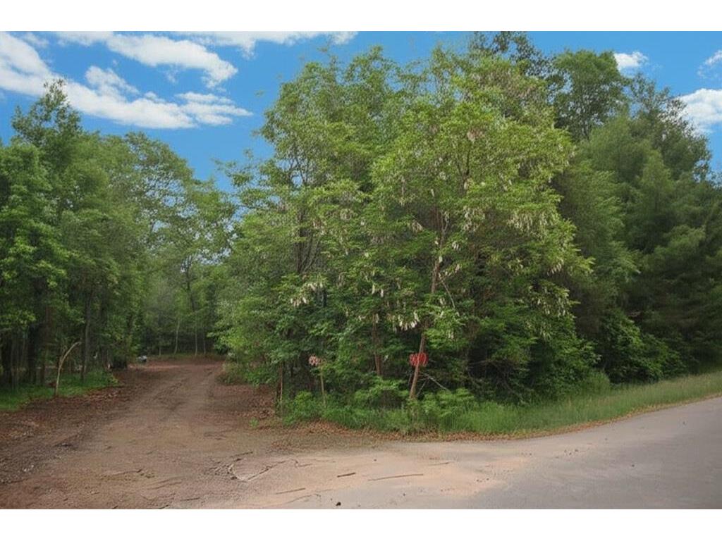 29007 Pardun Road Danbury WI 54830 6736405 image1