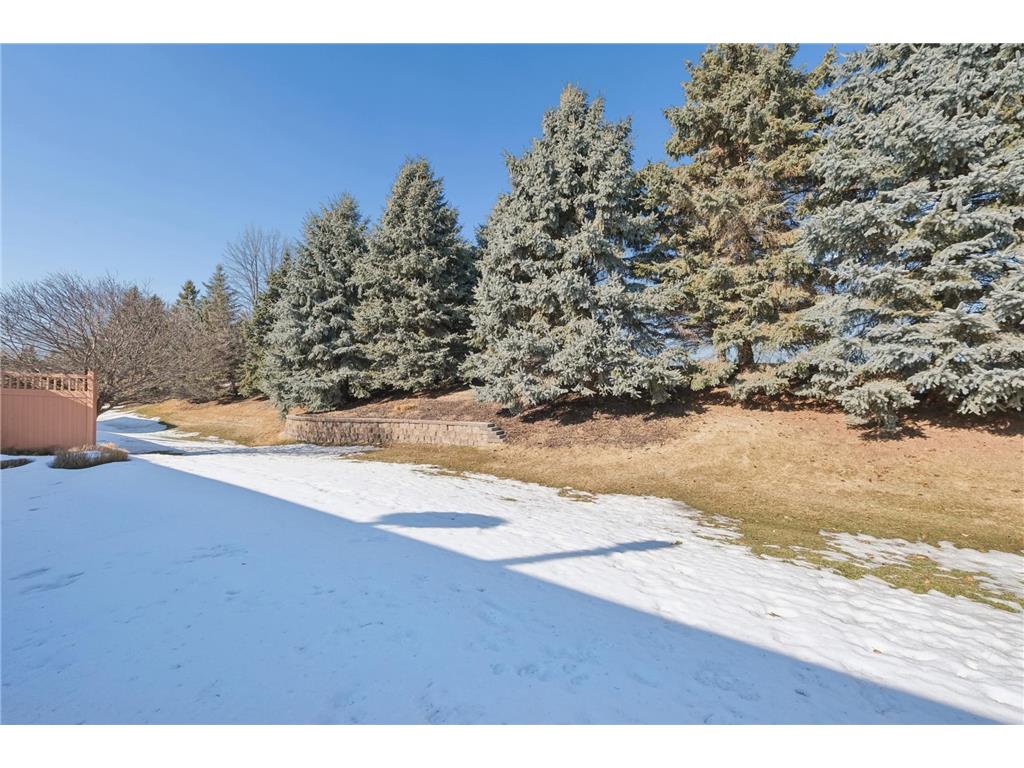 2901 124th Circle NE Blaine MN 55449 7020563 image7