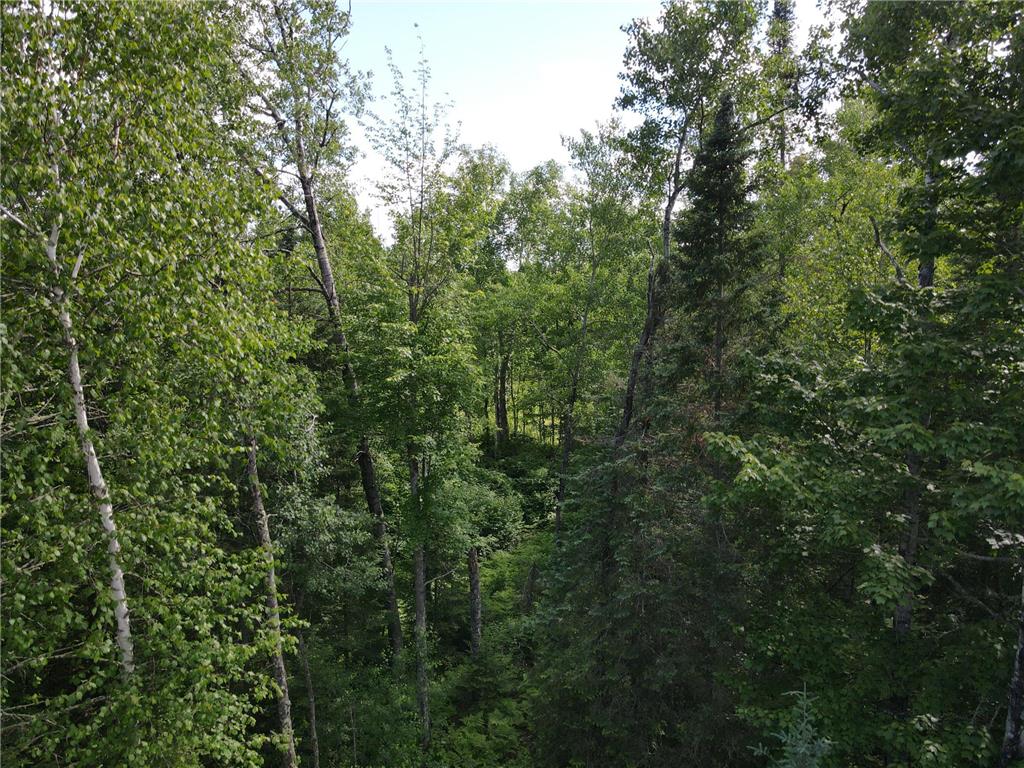 29015 County Road 45 Bigfork MN 56628 7098358 image18