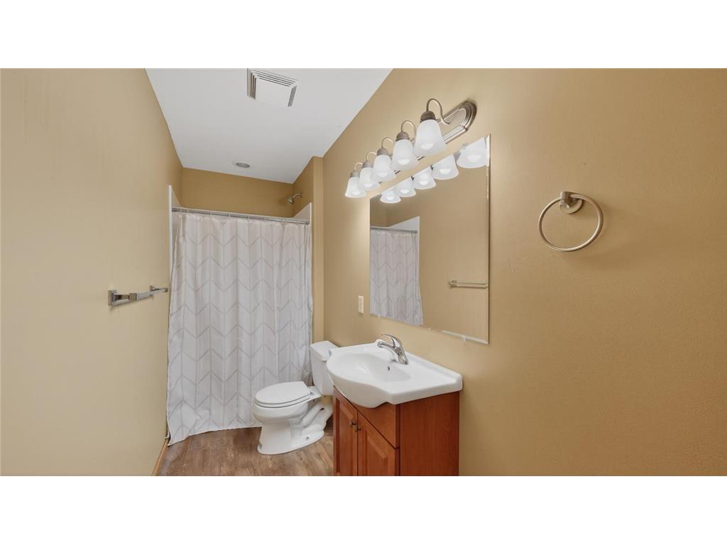 29019 Danel Avenue Randolph MN 55065 6821111 image20