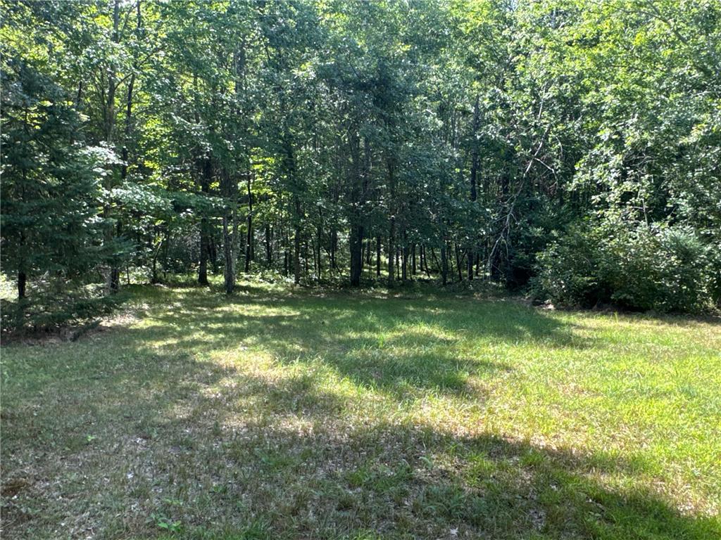 29031 French Road Oakland WI 54830 6789574 image18
