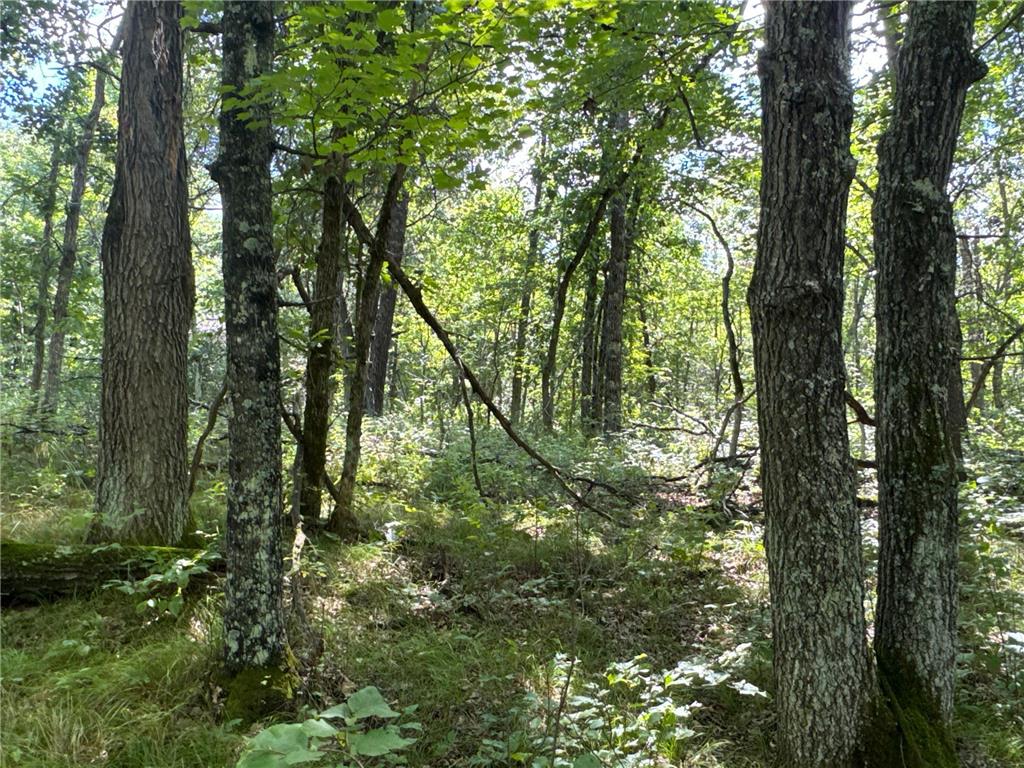 29031 French Road Oakland WI 54830 6789574 image20