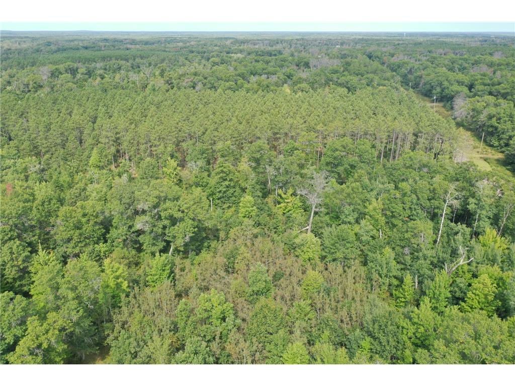 29031 French Road Oakland WI 54830 6789574 image28