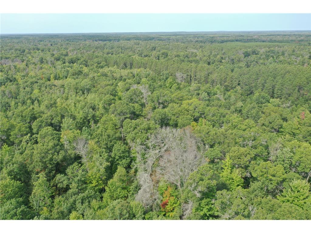 29031 French Road Oakland WI 54830 6789574 image29