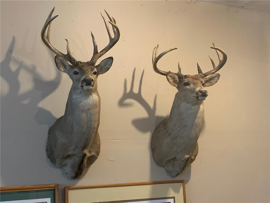 29031 French Road Oakland WI 54830 6789574 image32