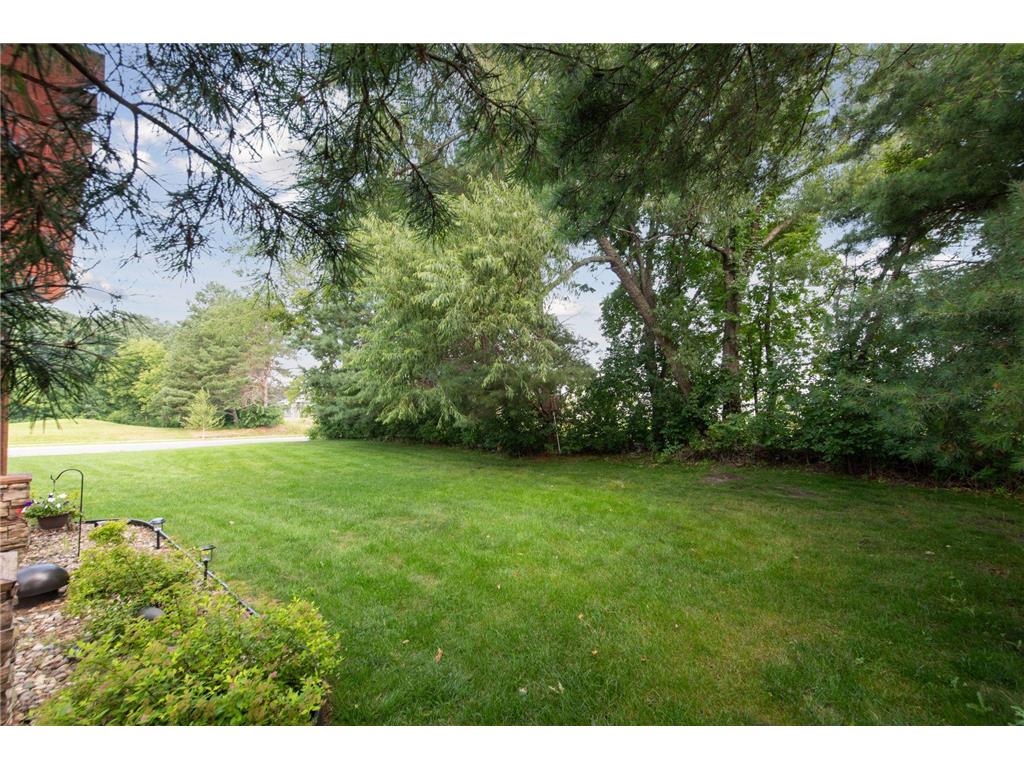 2906 Butternut Drive Chaska MN 55318 6758672 image52