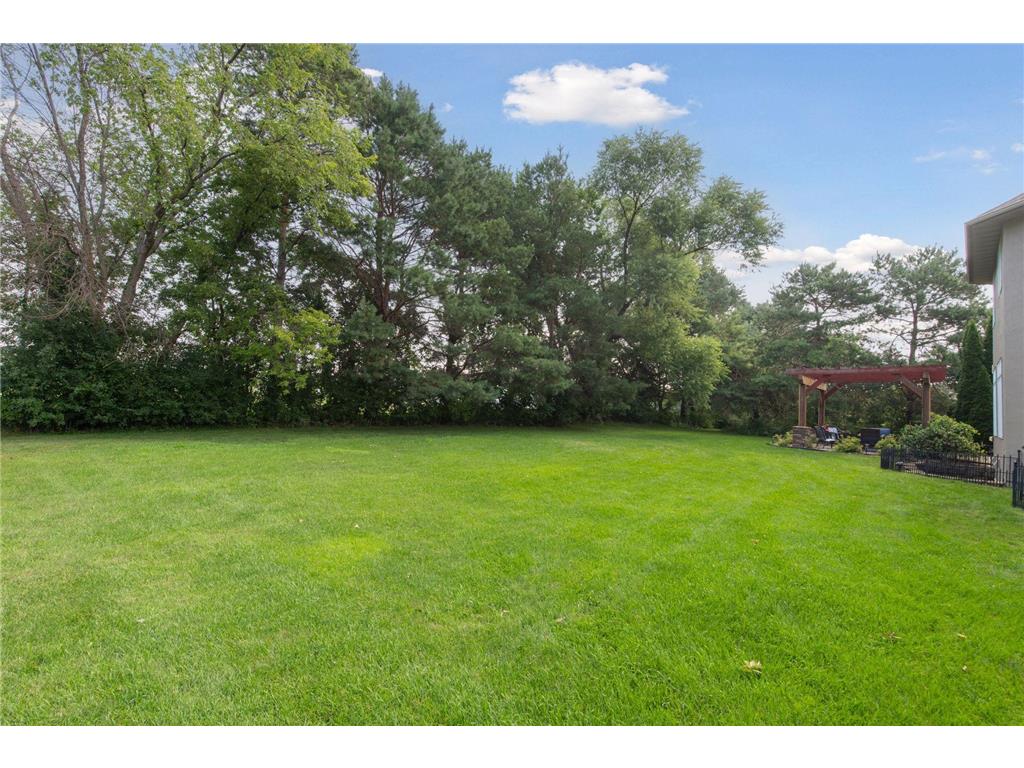 2906 Butternut Drive Chaska MN 55318 6758672 image56