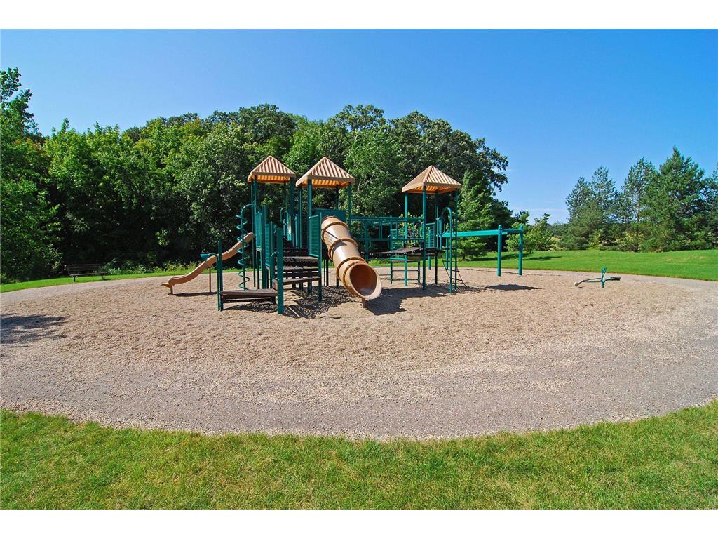 2906 Butternut Drive Chaska MN 55318 6758672 image59