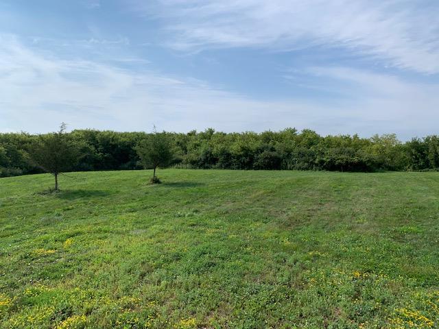 2906 Serenity Lane NE Rochester MN 55906 5352516 image3