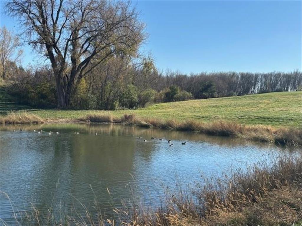 2906 Serenity Lane NE Rochester MN 55906 7005004 image2