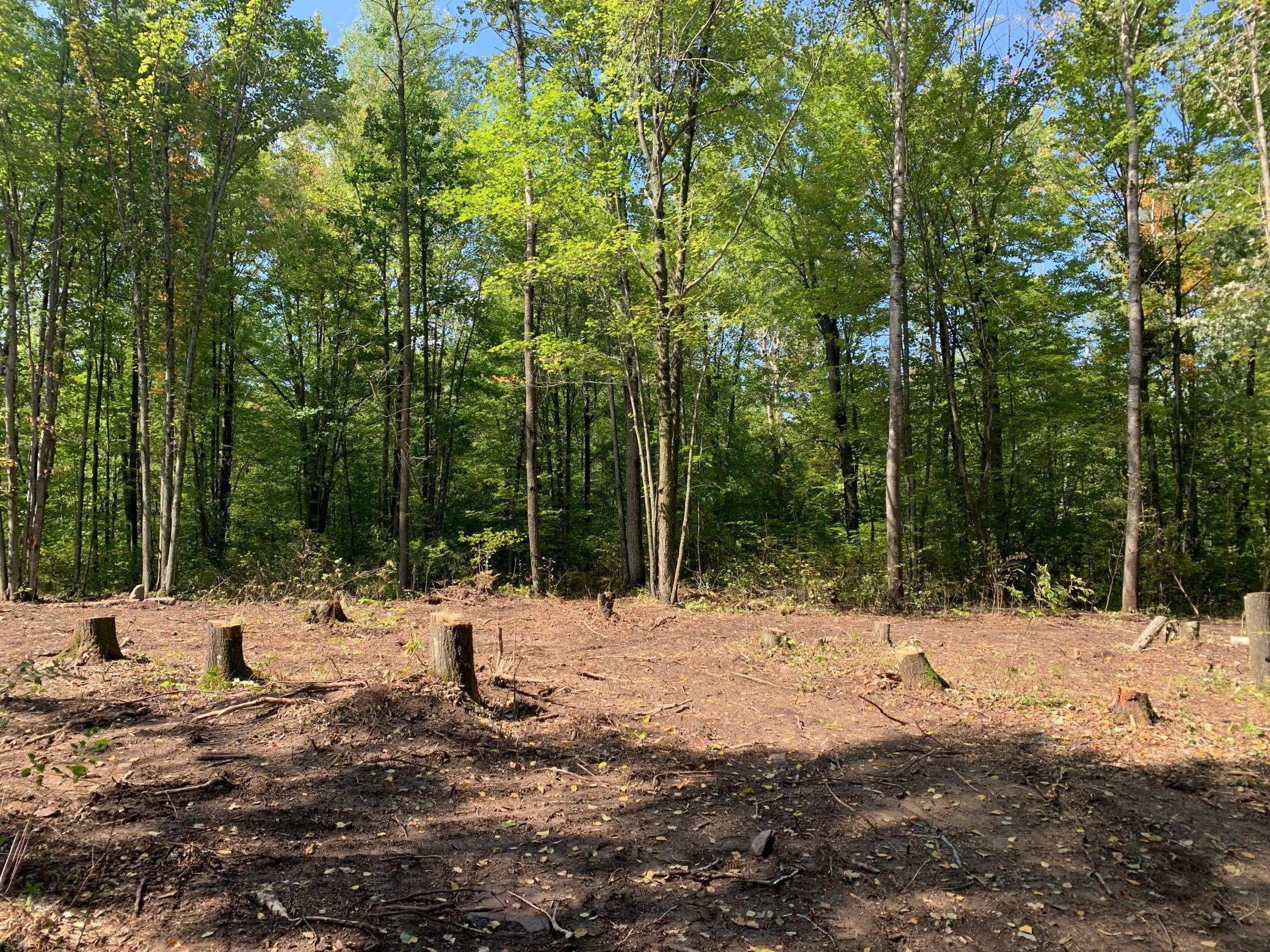 NA 300th Avenue, Brook Park, MN 55007 MLS 6091240 Edina Realty