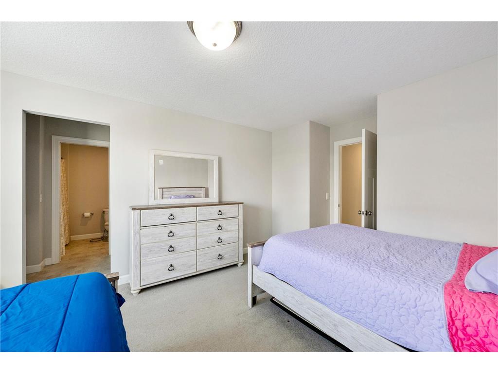 2907 132nd Court NE Blaine MN 55449 7018653 image33