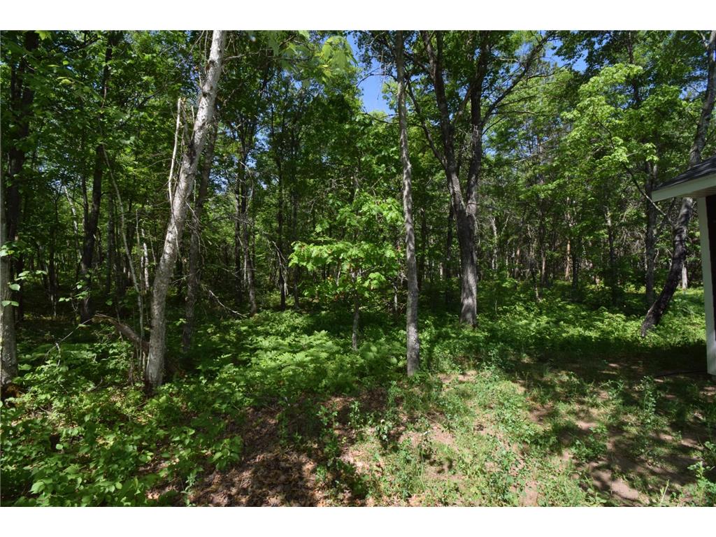 29093 Deerpath Pass Jackson Twp WI 54830 7087974 image42