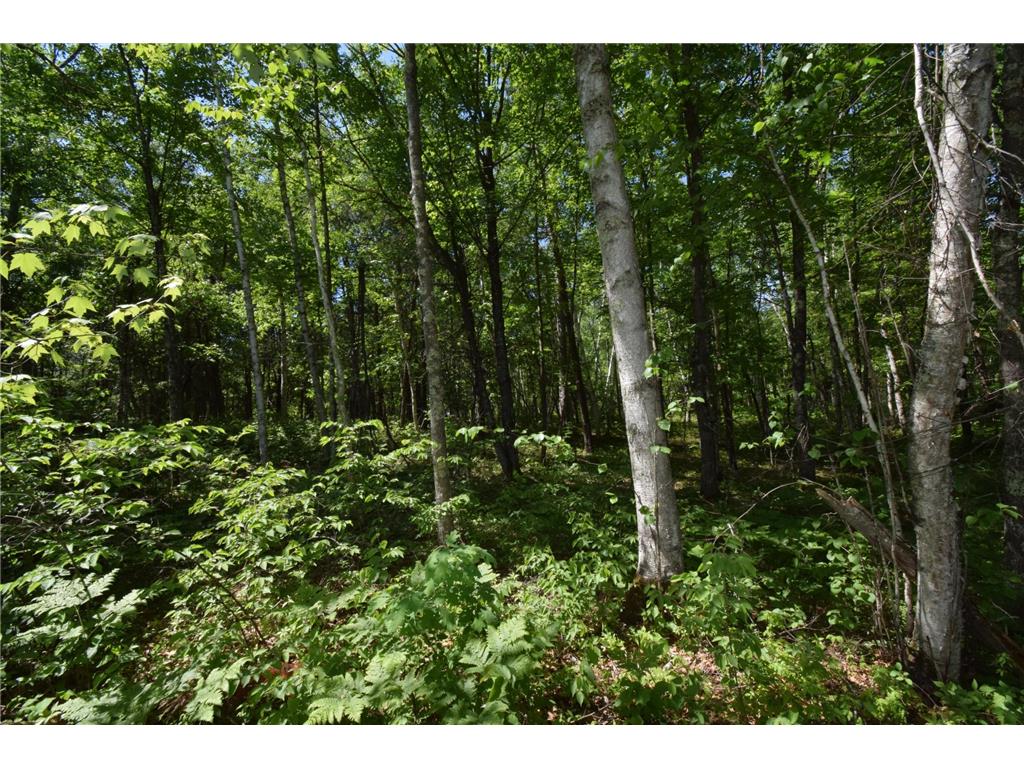 29093 Deerpath Pass Jackson Twp WI 54830 7087974 image43