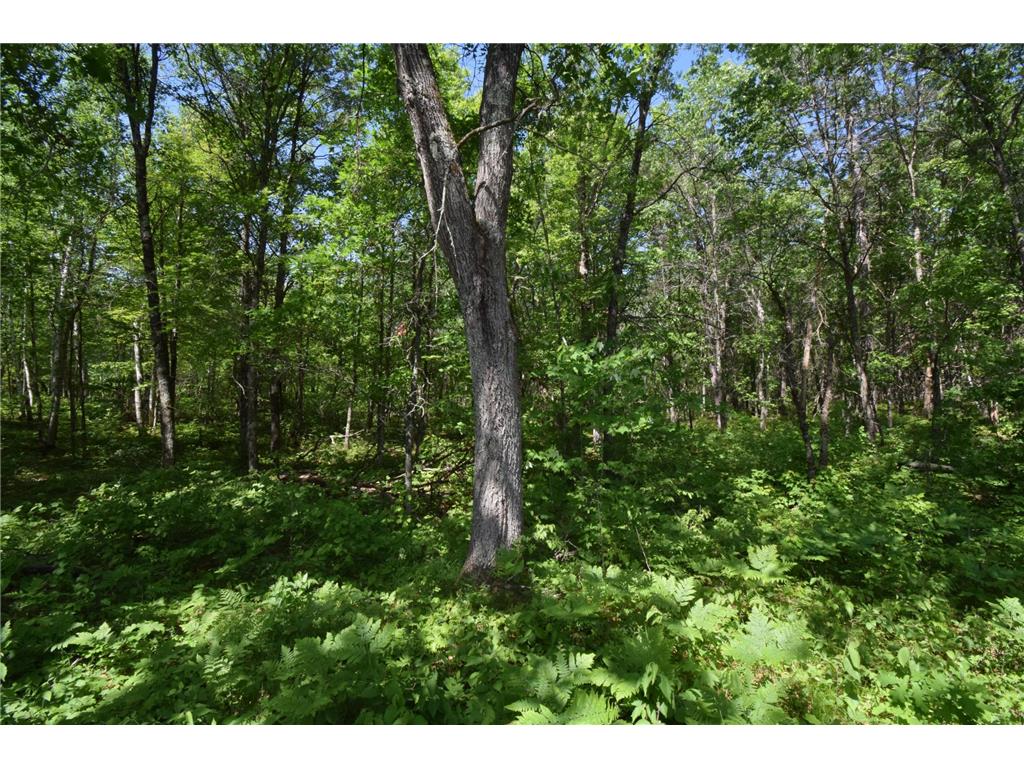 29093 Deerpath Pass Jackson Twp WI 54830 7087974 image47
