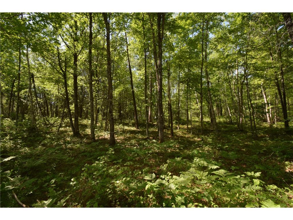 29093 Deerpath Pass Jackson Twp WI 54830 7087974 image48