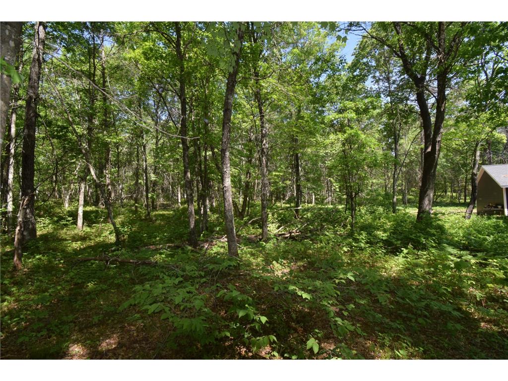 29093 Deerpath Pass Jackson Twp WI 54830 7087974 image49