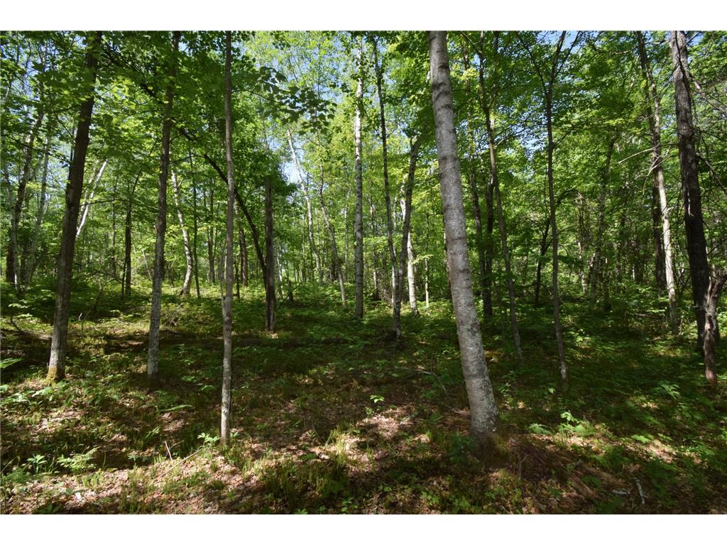 29093 Deerpath Pass Jackson Twp WI 54830 7087974 image50