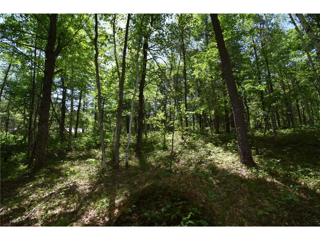29093 Deerpath Pass Jackson Twp WI 54830 7087974 image51