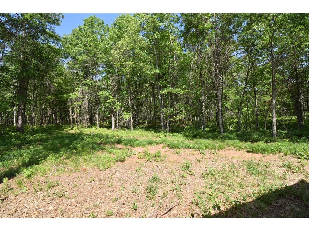 29093 Deerpath Pass Jackson Twp WI 54830 7087974 image56