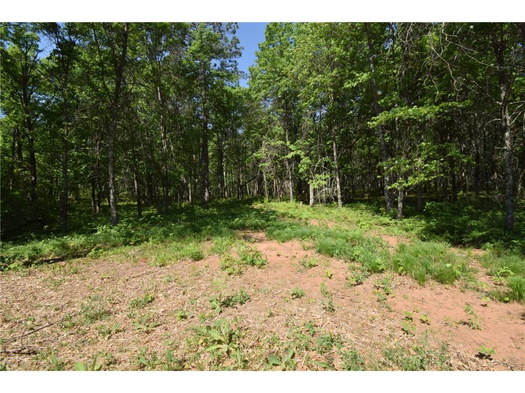 29093 Deerpath Pass Jackson Twp WI 54830 7087974 image59