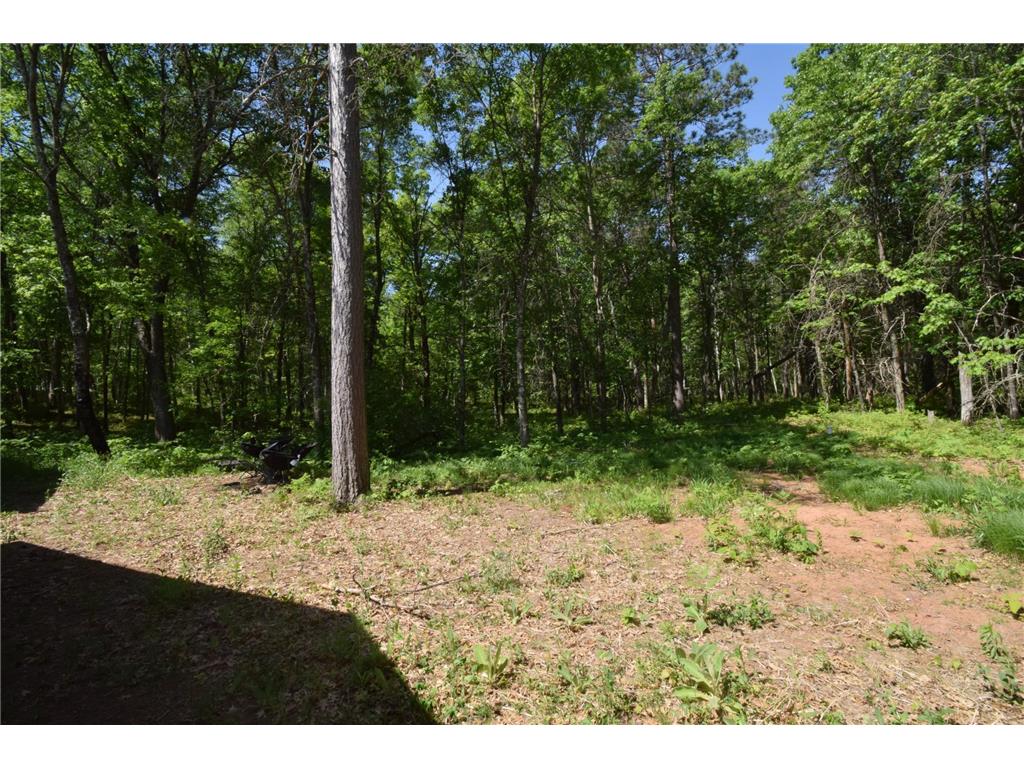 29093 Deerpath Pass Jackson Twp WI 54830 7087974 image60