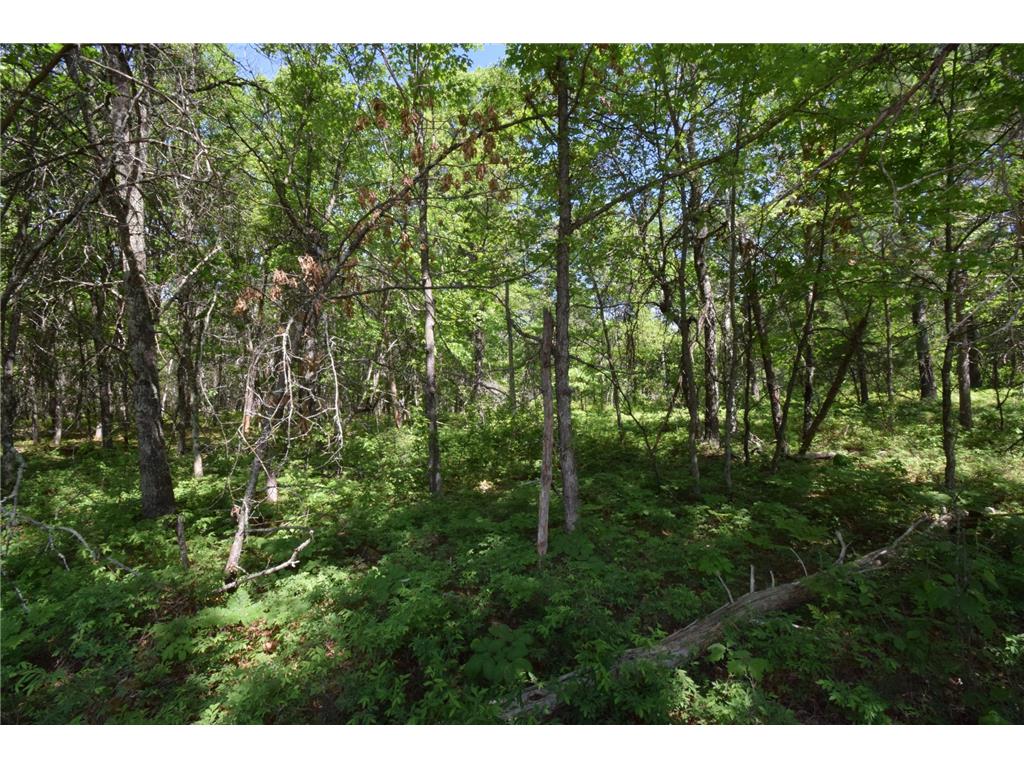 29093 Deerpath Pass Jackson Twp WI 54830 7087974 image61