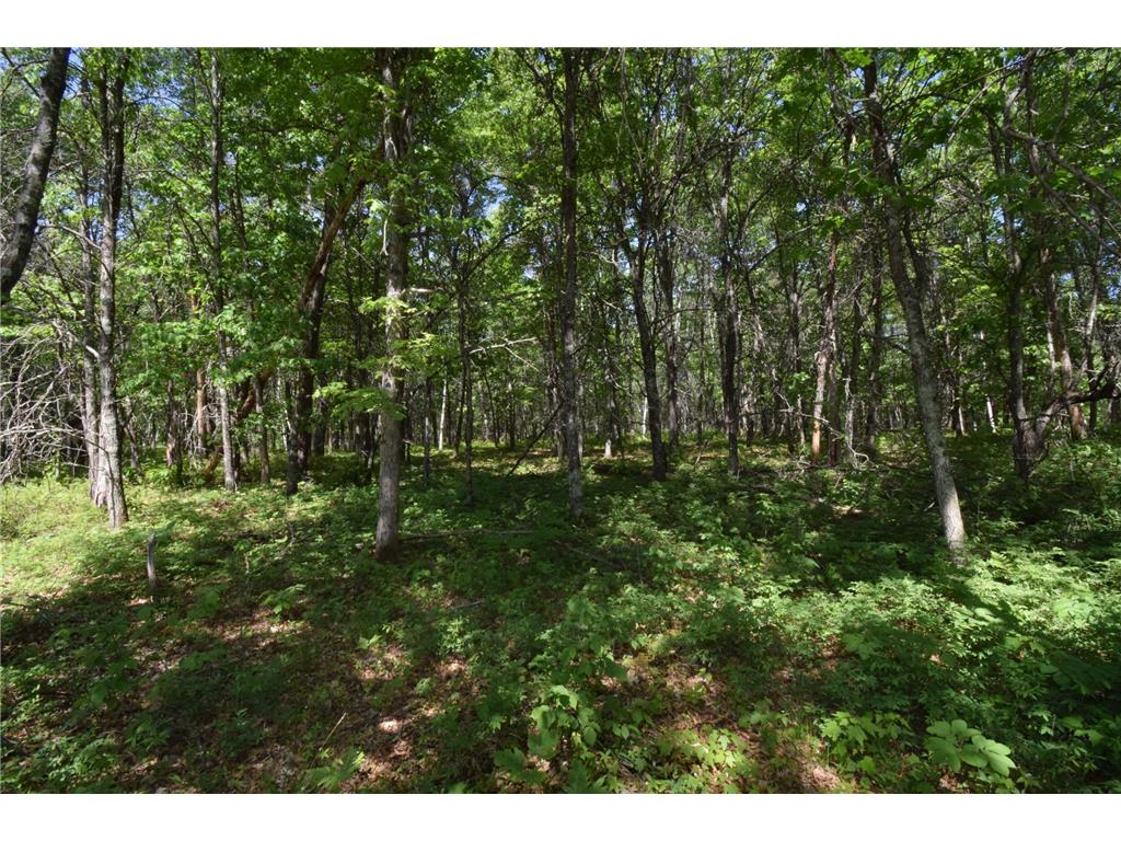 29093 Deerpath Pass Jackson Twp WI 54830 7087974 image62