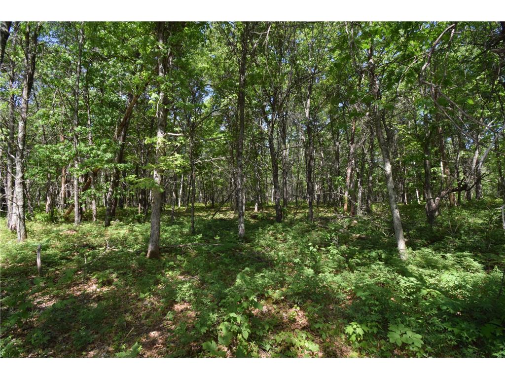 29093 Deerpath Pass Jackson Twp WI 54830 7087974 image63