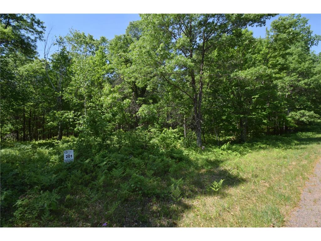 29093 Deerpath Pass Jackson Twp WI 54830 7087974 image71