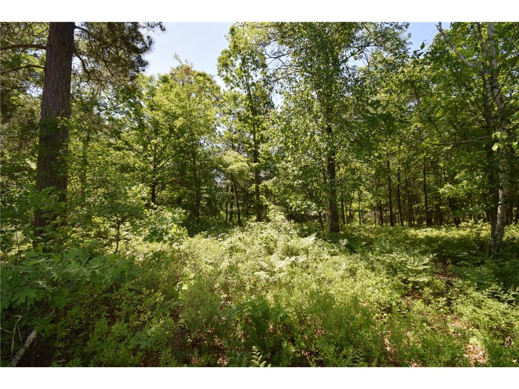 29093 Deerpath Pass Jackson Twp WI 54830 7087974 image73