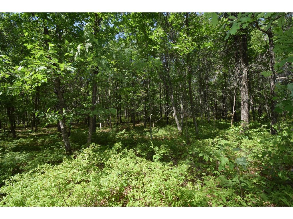 29093 Deerpath Pass Jackson Twp WI 54830 7087974 image74