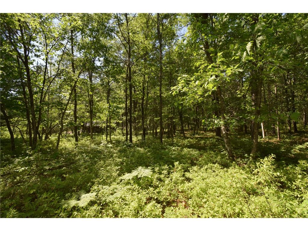 29093 Deerpath Pass Jackson Twp WI 54830 7087974 image75