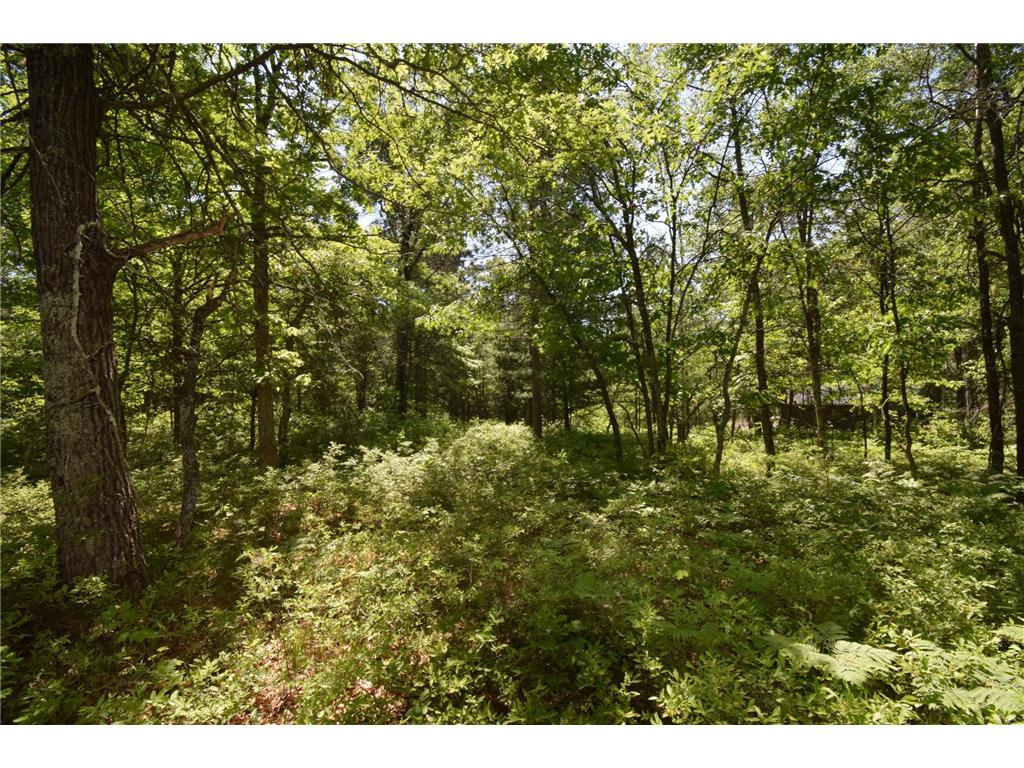 29093 Deerpath Pass Jackson Twp WI 54830 7087974 image76