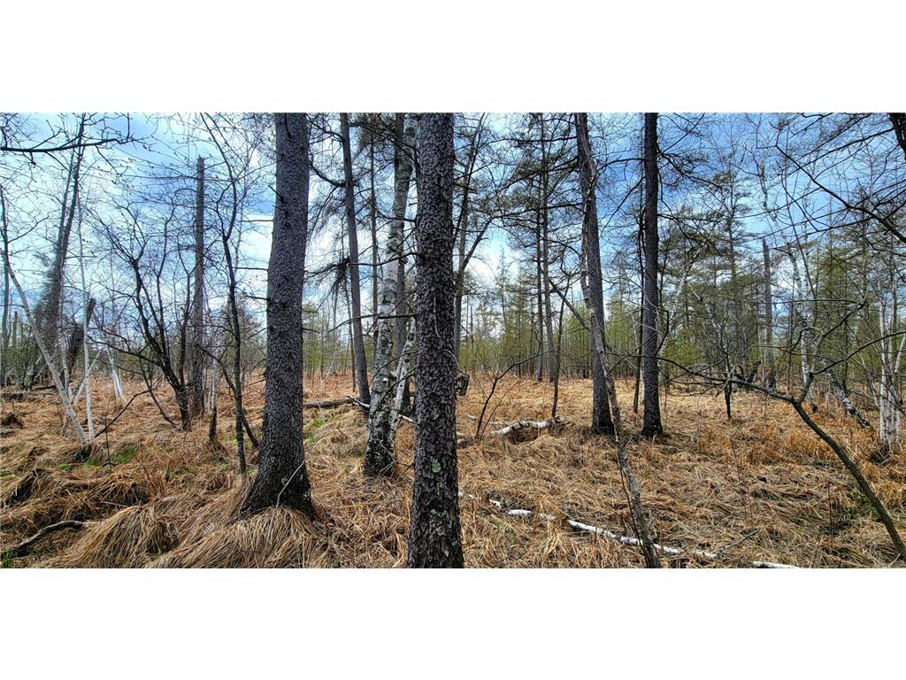290xx County Highway 35 Maine Twp MN 56586 - West Lost Lake 7075223 image14