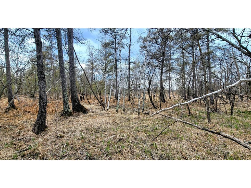 290xx County Highway 35 Maine Twp MN 56586 - West Lost Lake 7075223 image15